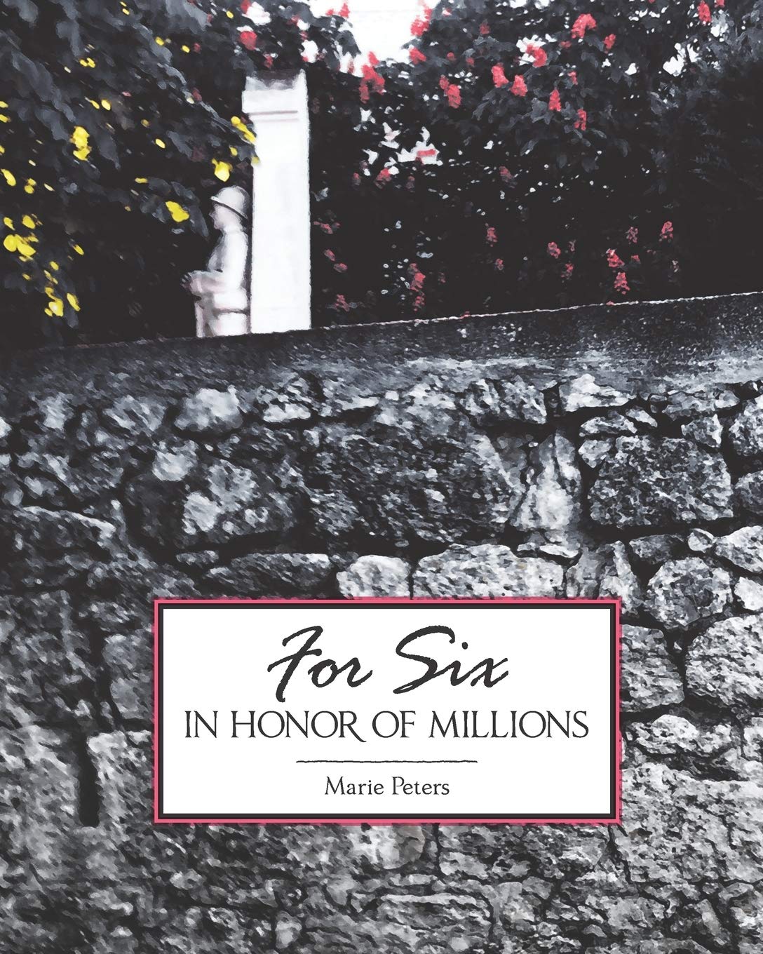 For Six in Honor of Millions: World War I Memorials in Rural France and Australia Art & Literature Books