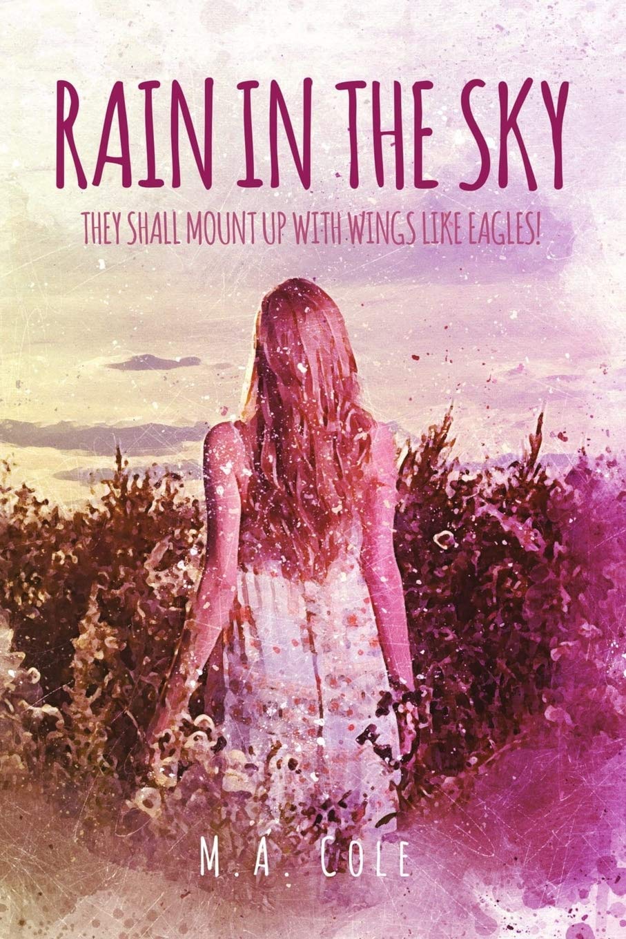 Rain in the Sky (I Am the Sky) Contemporary literature