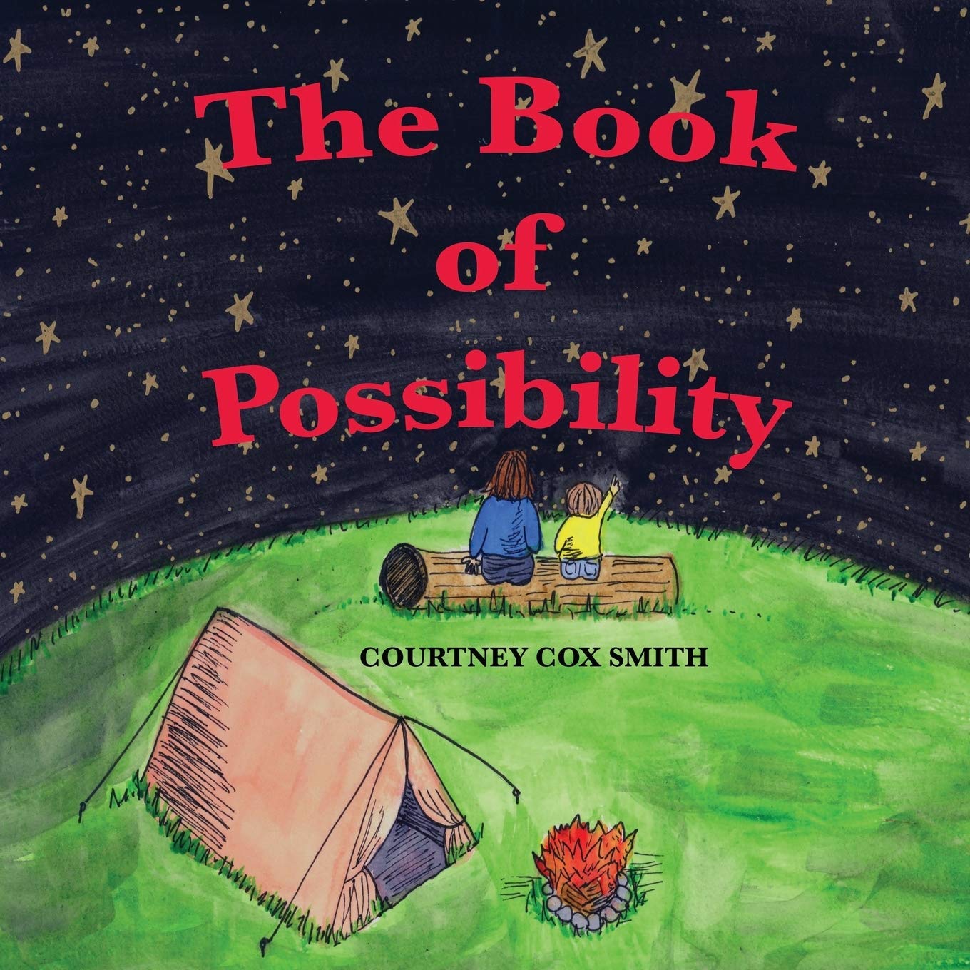 The Book of Possibility Novels & Short Stories