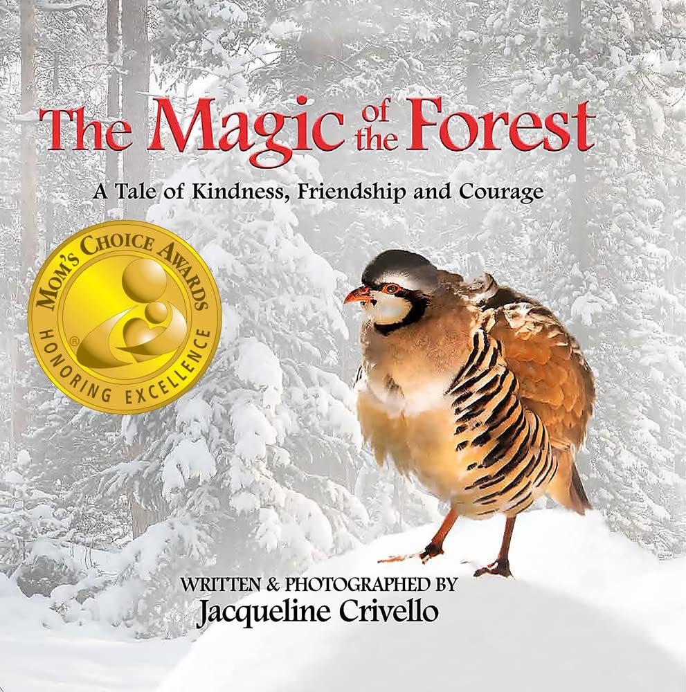 Product Image: The Magic of the Forest