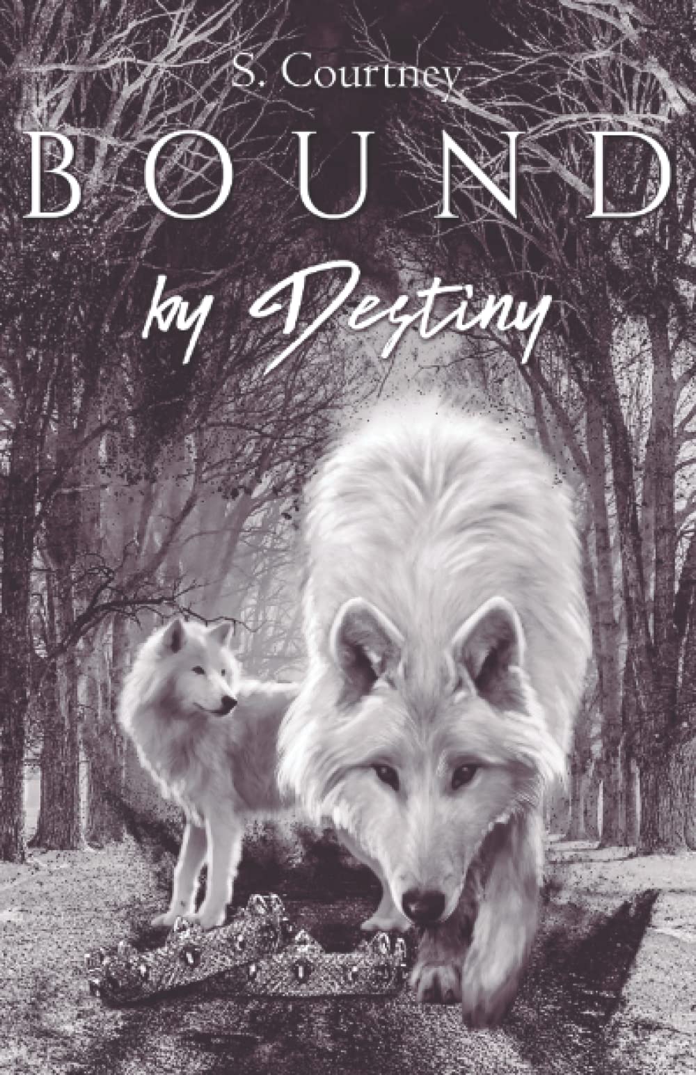 Bound by Destiny (The Bound Series, Band 2) Contemporary Romance