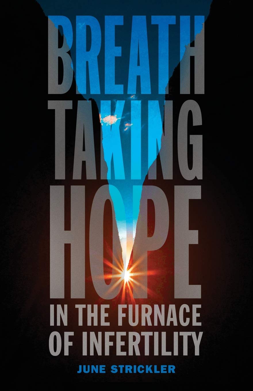 Breathtaking Hope In The Furnace Of Infertility Parents & Children