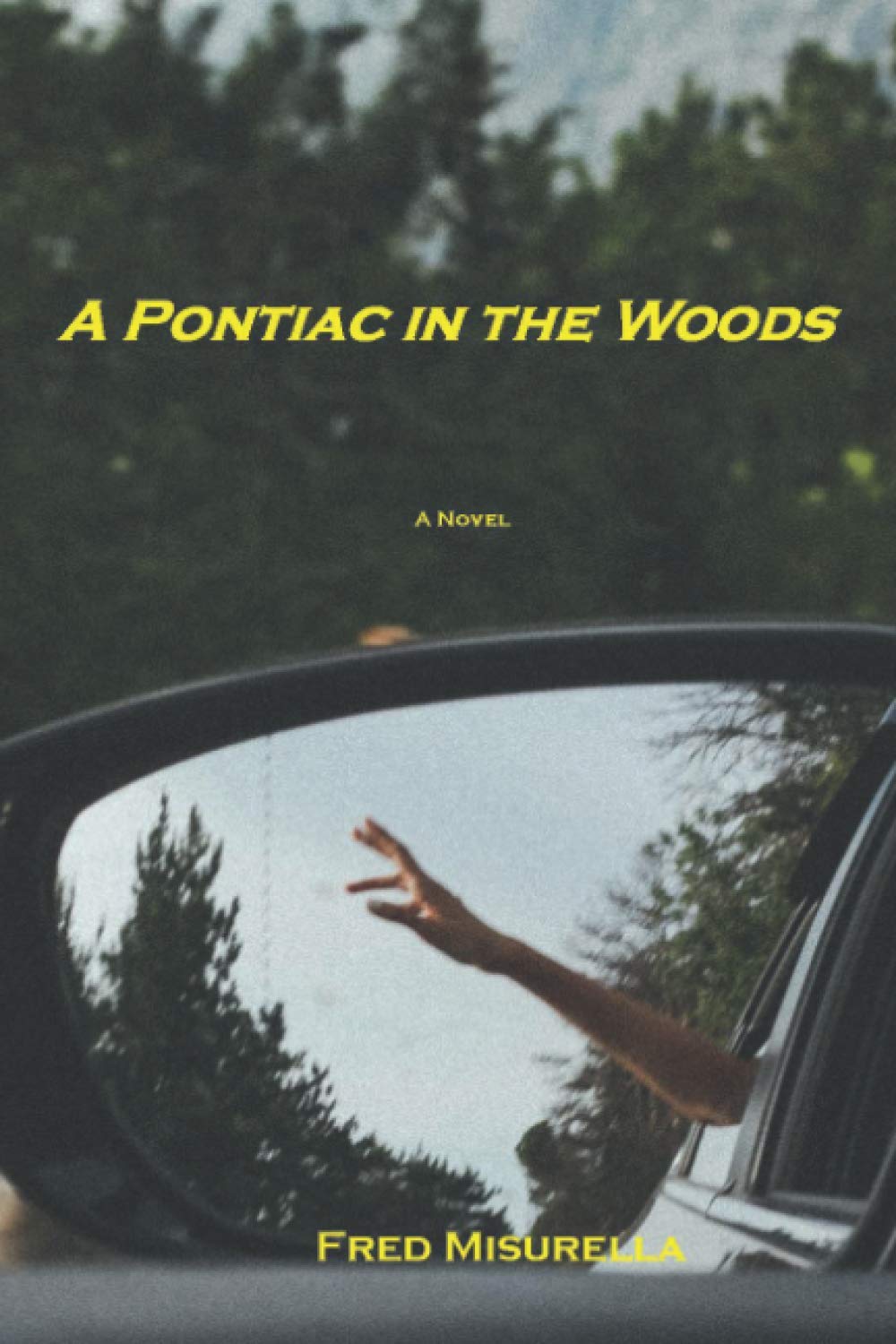 A Pontiac in the Woods Contemporary literature