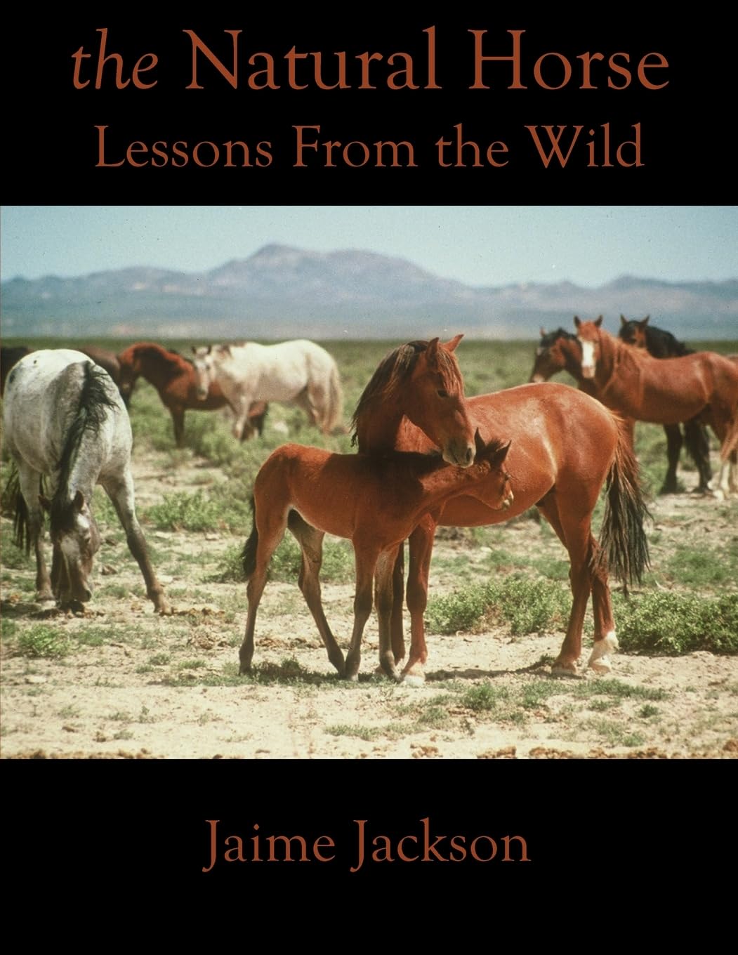The Natural Horse: Lessons From the Wild Pets