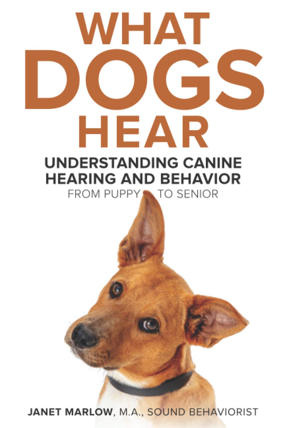 What Dogs Hear: Understanding Canine Hearing and Behavior From Puppy to Senior Pets