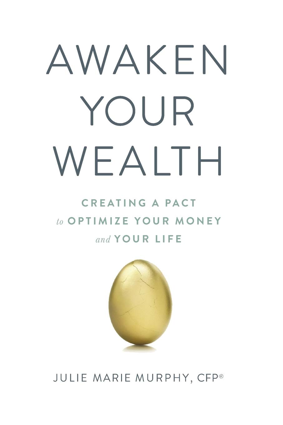 Awaken Your Wealth: Creating a PACT to OPTIMIZE YOUR MONEY and YOUR LIFE book