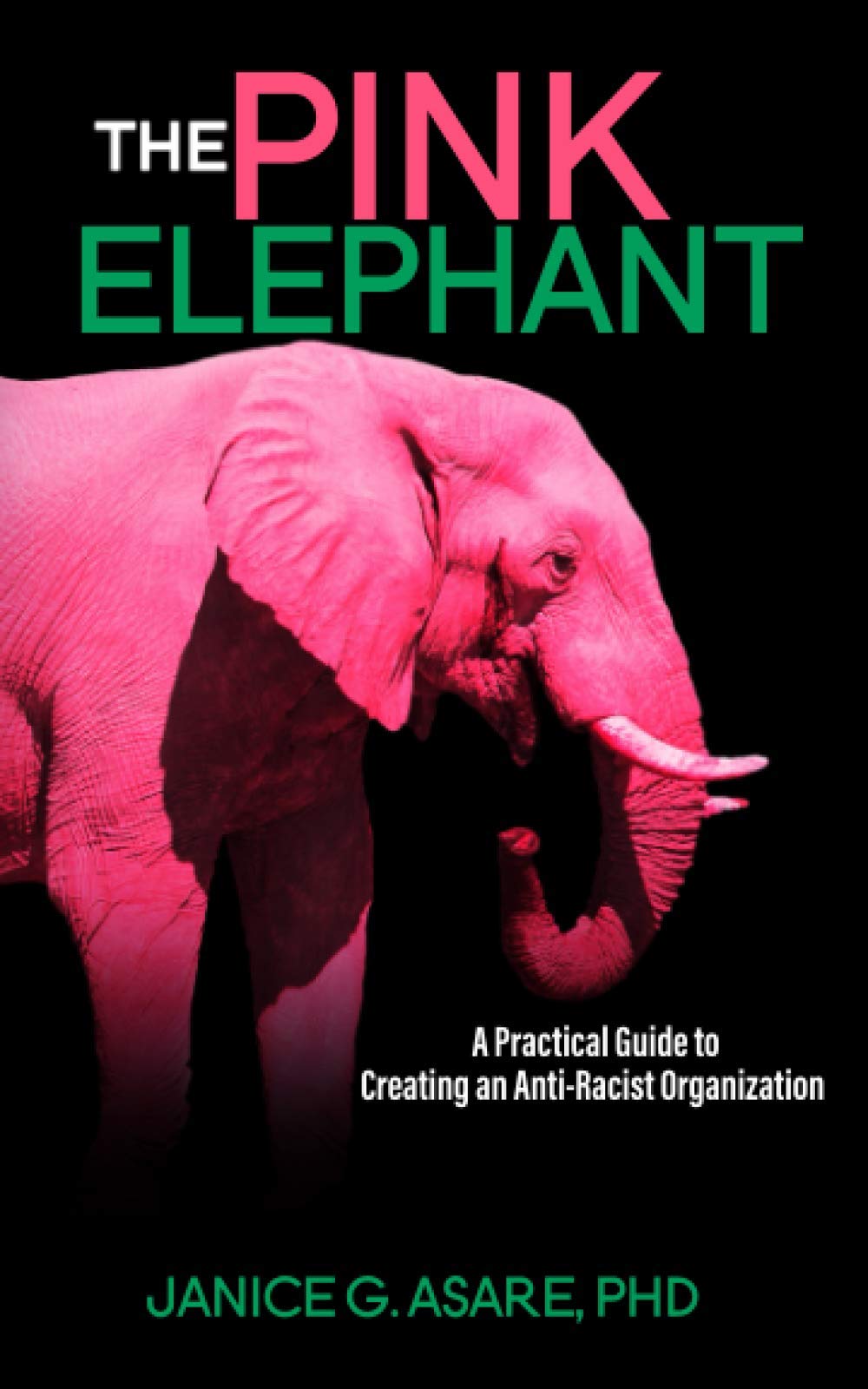 The Pink Elephant: A Practical Guide to Creating an Anti-Racist Organization: A Practical Guide to Creating an Anti-Racist Organization: A Practical Guide to Creating an Anti-Racist: A Practical Guide Law