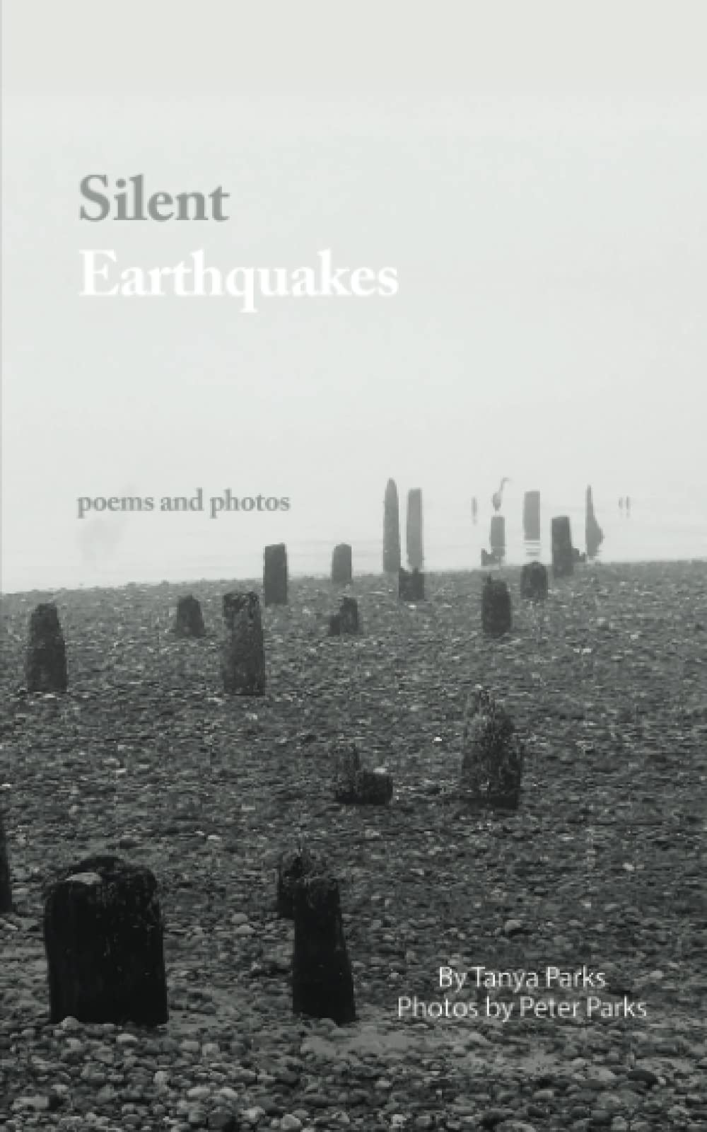 Silent Earthquakes: Poems and Photos Contemporary literature