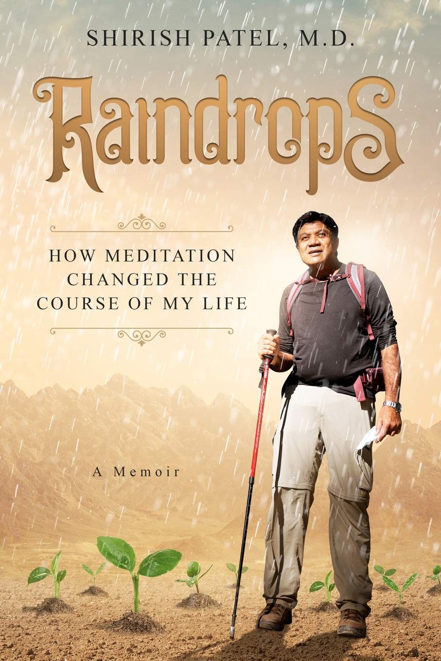 Raindrops: How Meditation Changed the Course of My Life Books