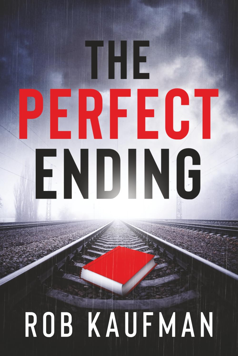Product Image: The Perfect Ending