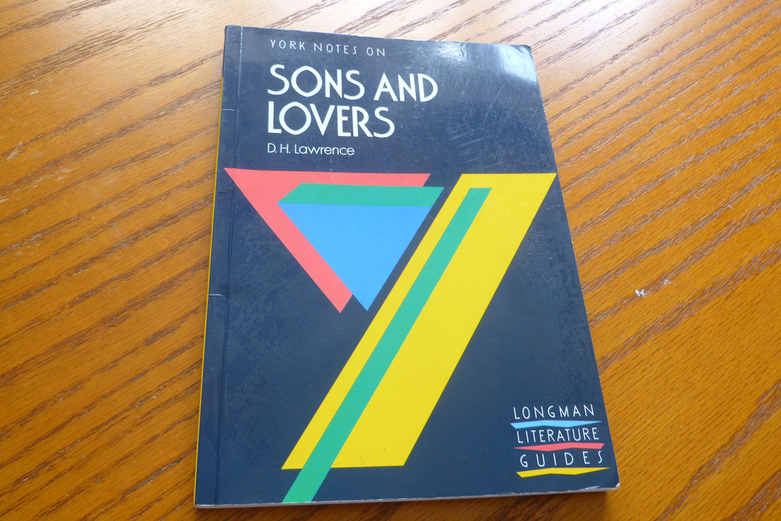 Sons and Lovers (York Notes) Contemporary literature Books