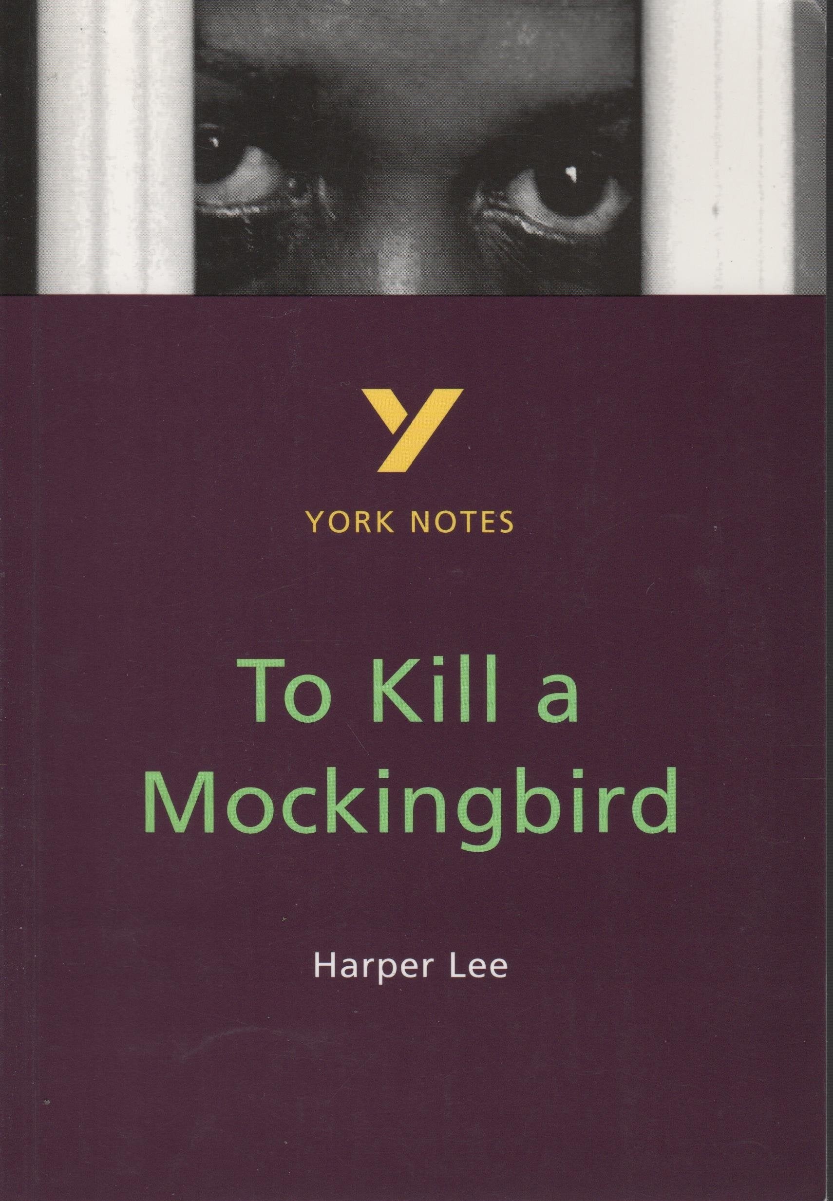 To Kill a Mockingbird (York Notes) Contemporary literature Books