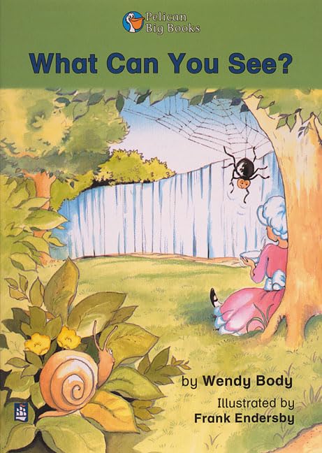 What Can You See? Key Stage 1 (PELICAN BIG BOOKS) Professional & Reference Books
