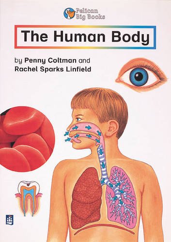 The Human Body Key Stage 2 (PELICAN BIG BOOKS) Medicine