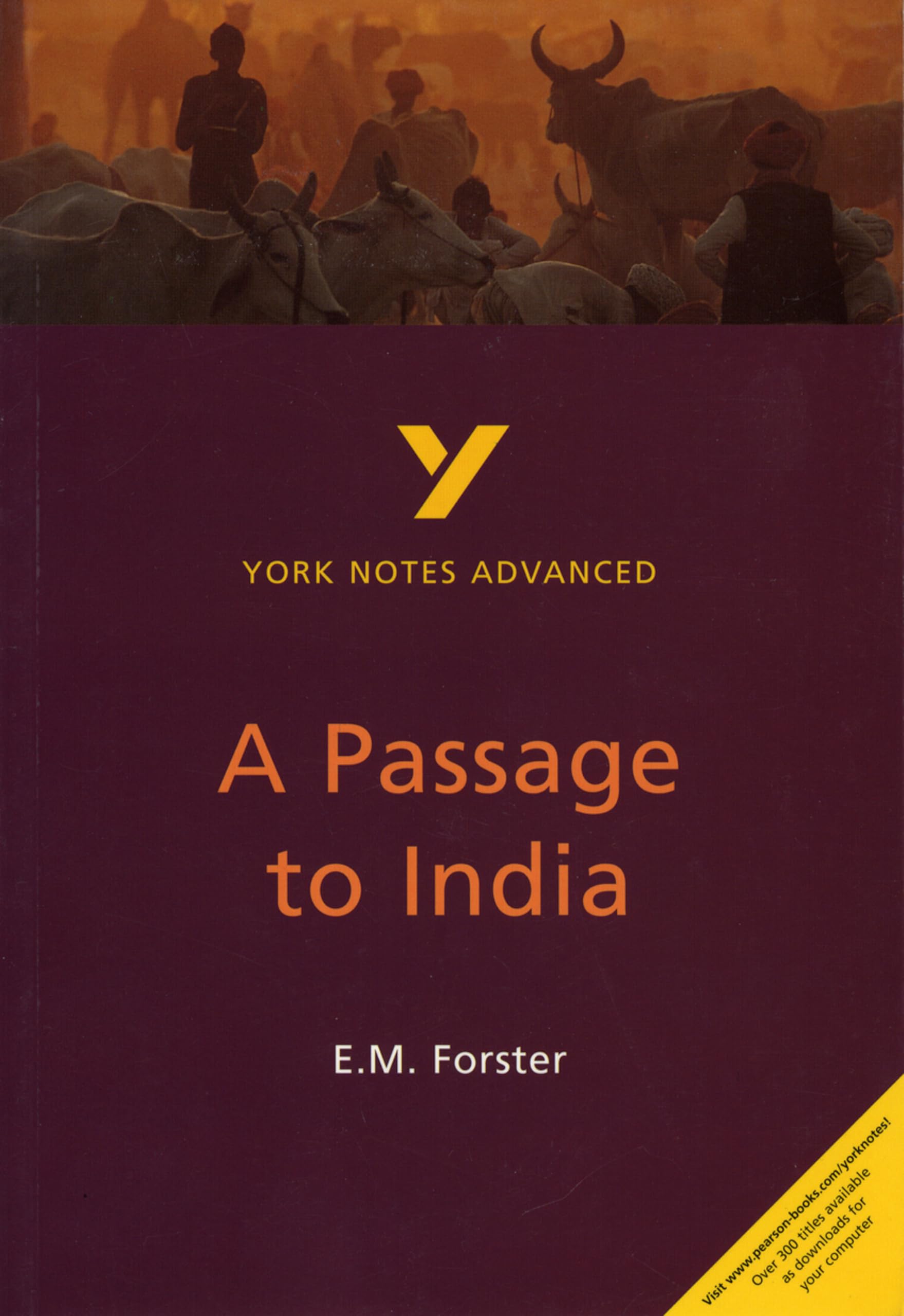 E. M. Forster 'A Passage to India': everything you need to catch up, study and prepare for 2021 assessments and 2022 exams (York Notes Advanced) Contemporary literature