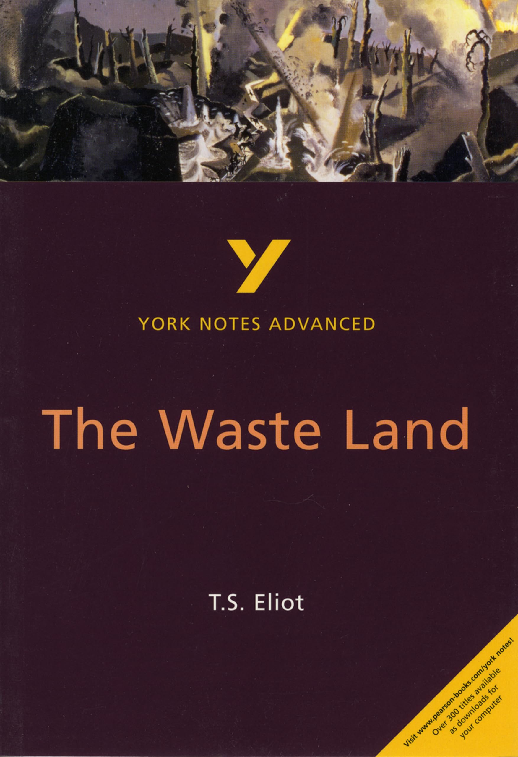 T. S. Eliot 'The Waste Land': York Notes Series (York Notes Advanced) Contemporary literature