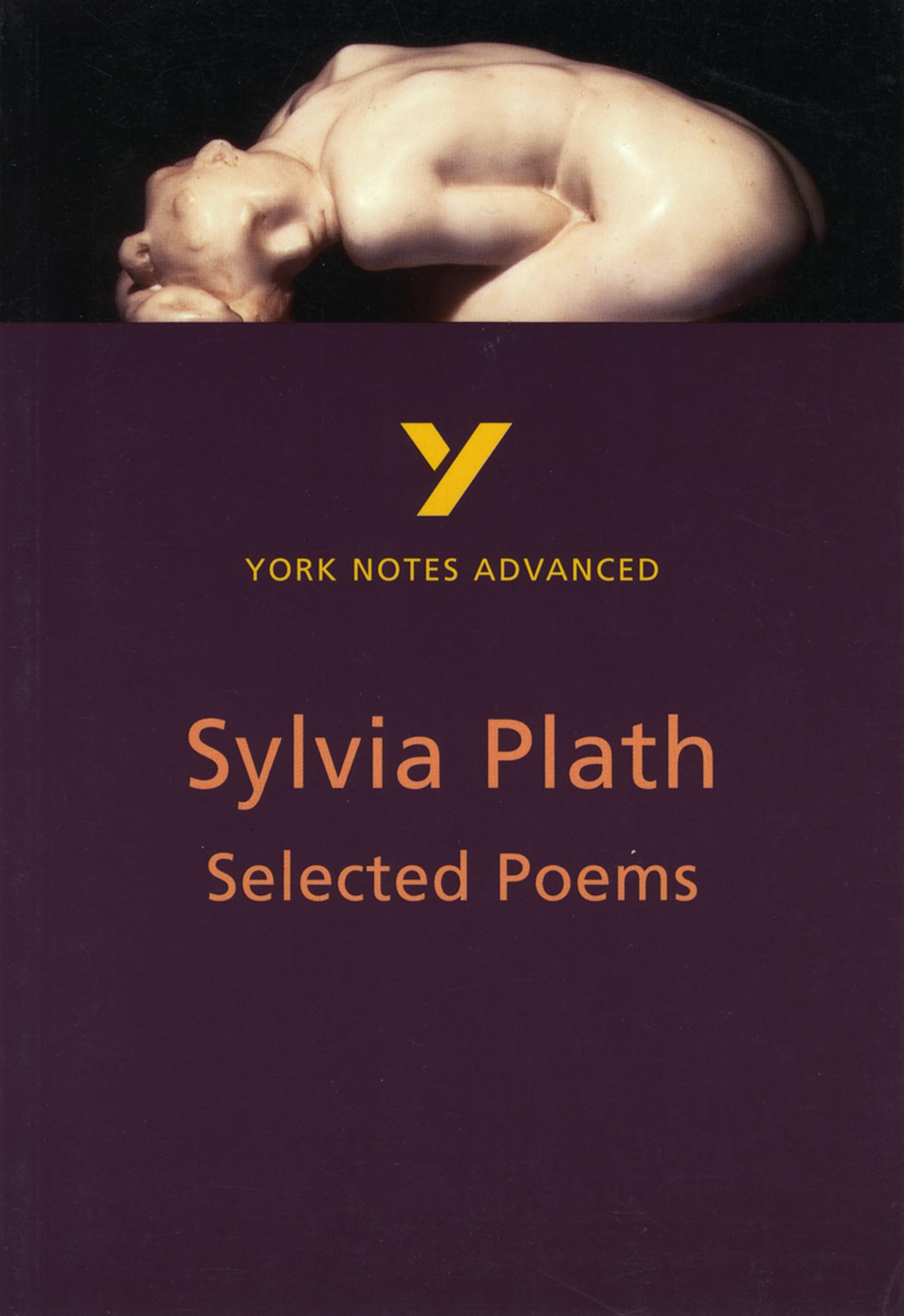 Selected Poems of Sylvia Plath (York Notes Advanced) English Literature Study Guide - for 2026, 2027 exams Contemporary literature