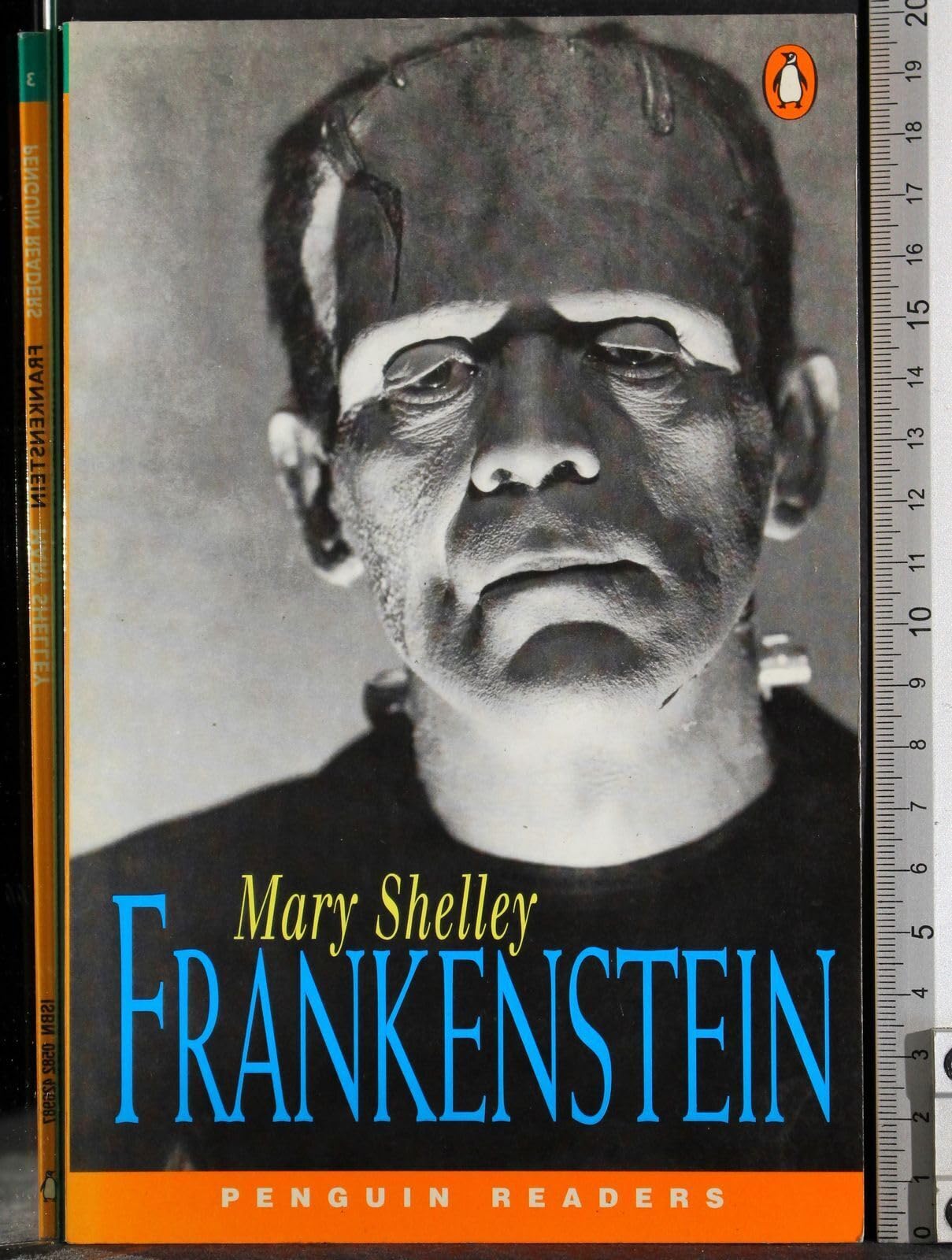 Frankenstein New Edition (Penguin Readers (Graded Readers)) Contemporary literature