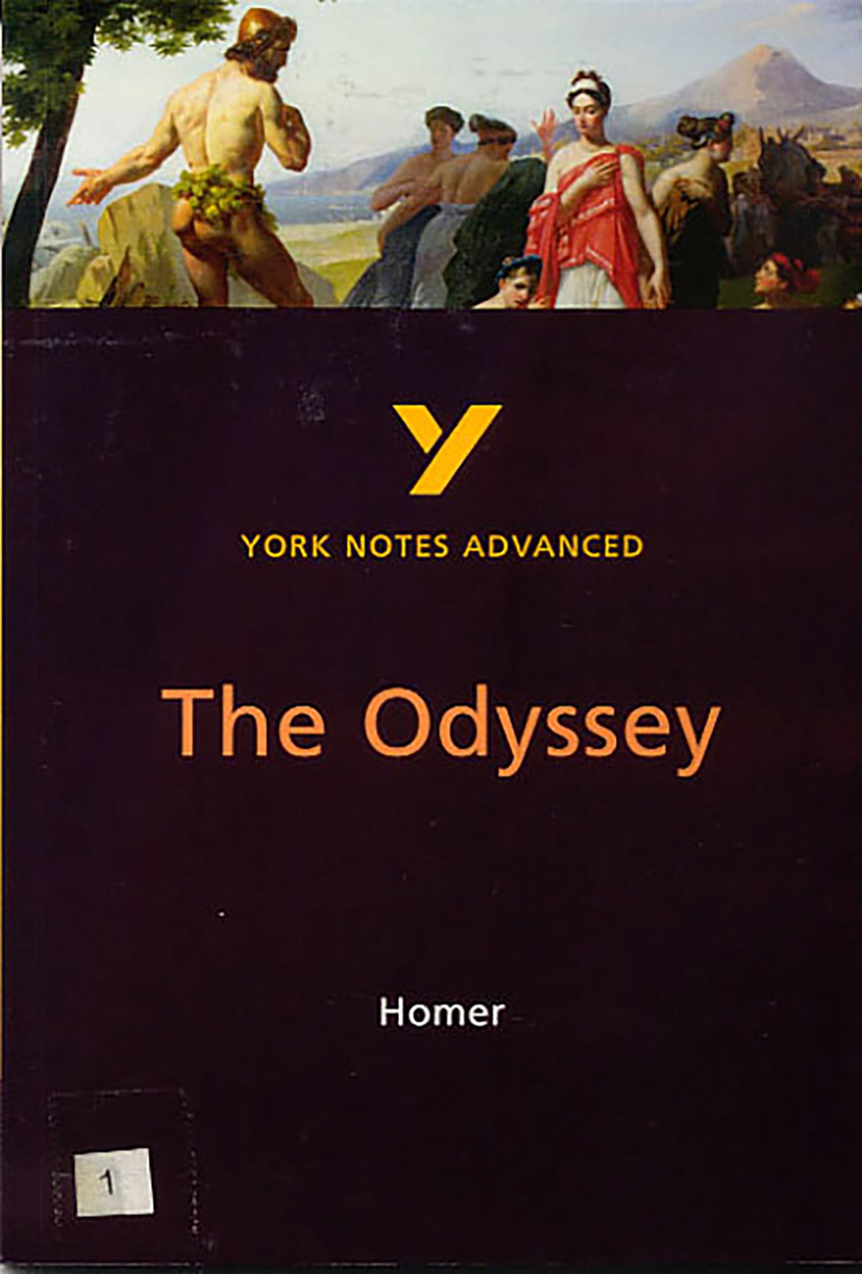 The Odyssey (York Notes Advanced) English Literature Study Guide - for 2026, 2027 exams book