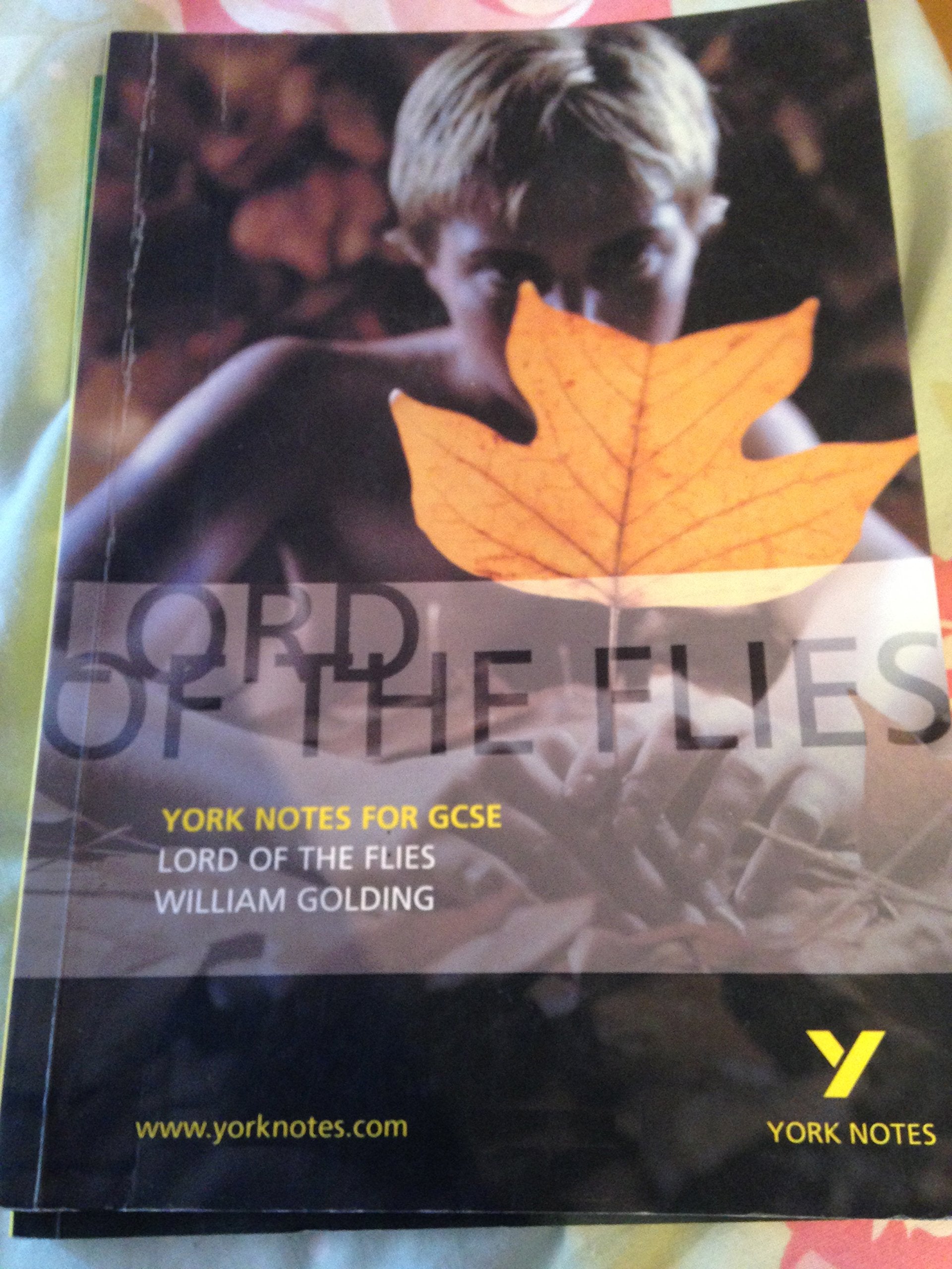 Lord of the Flies (York Notes) Professional & Reference Books