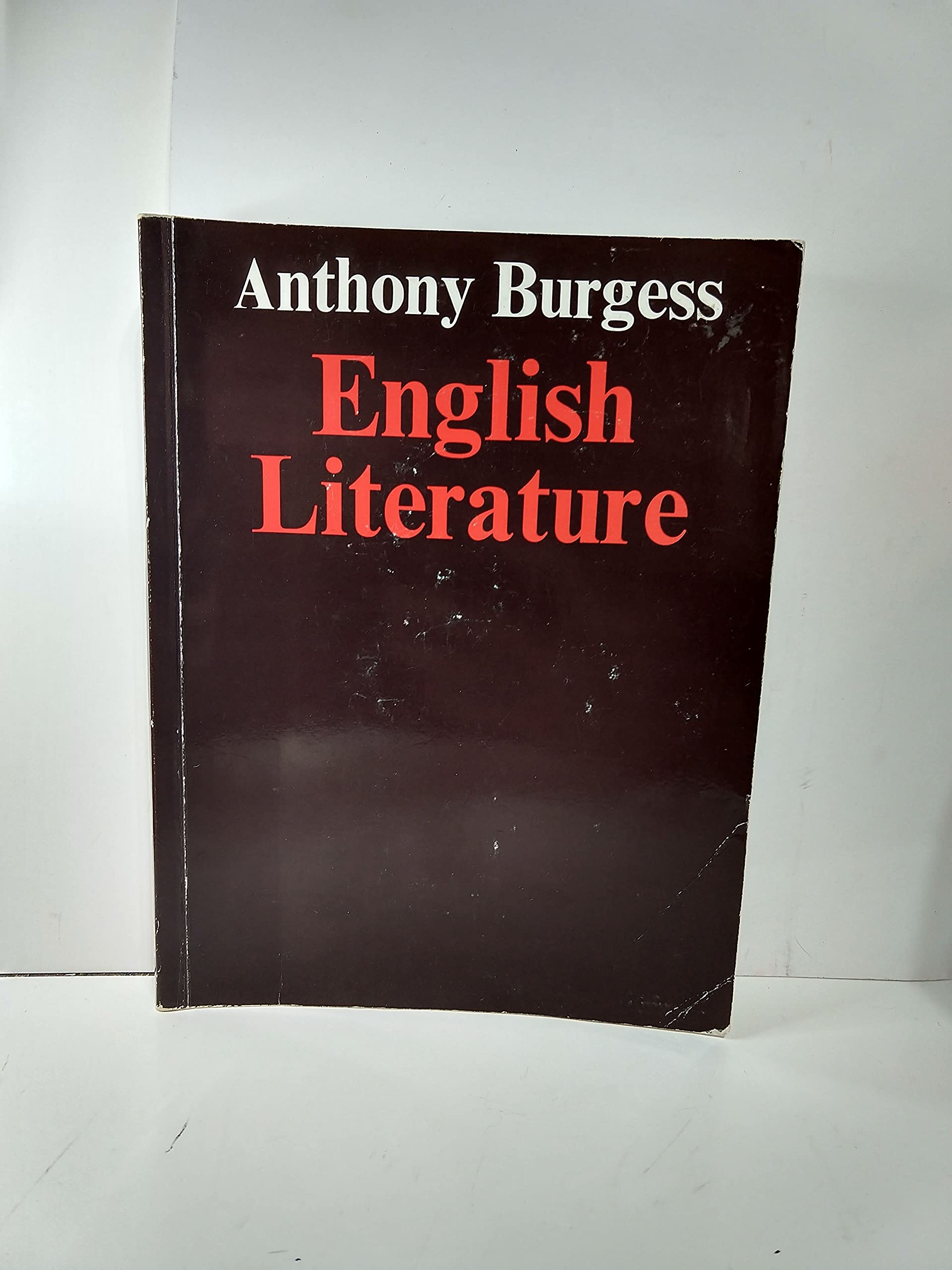 English literature : 1er et 2e cycle de l'enseignement supérieur Contemporary literature