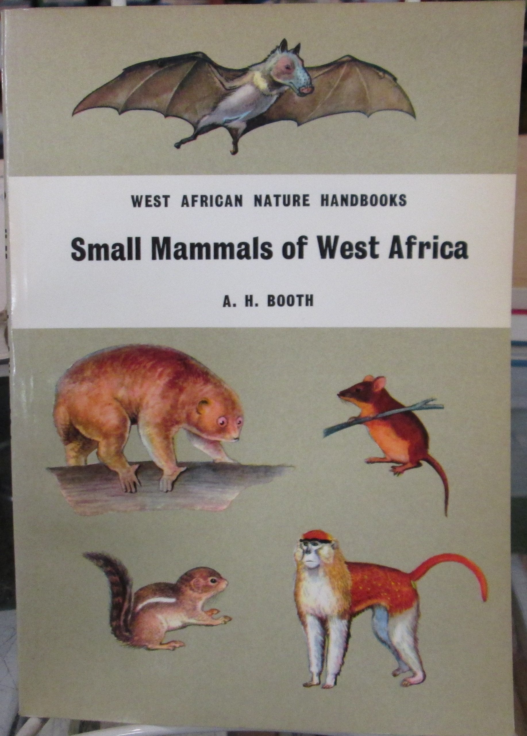Small Mammals of West Africa (West African Nature Handbooks) Mathematics