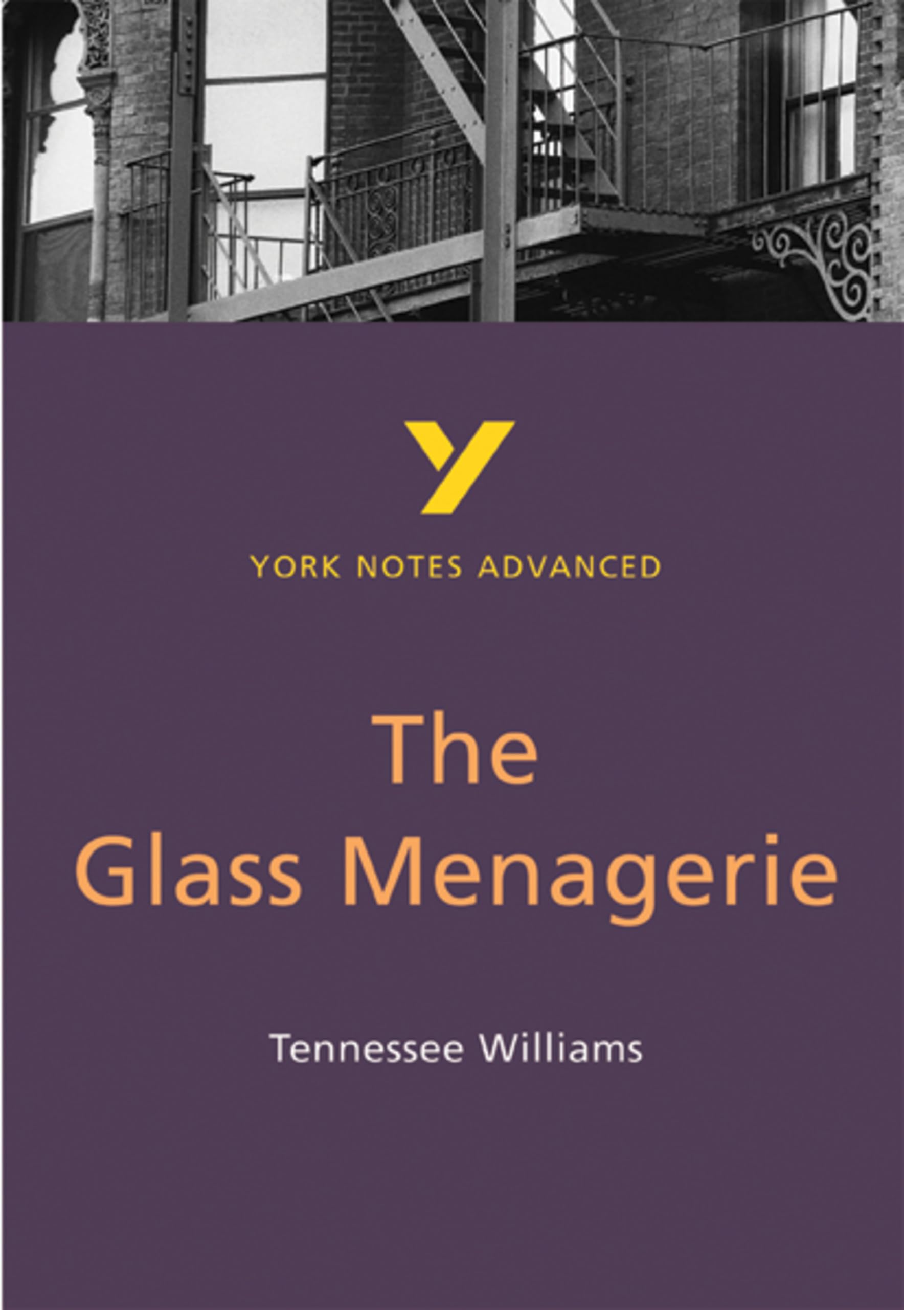 The Glass Menagerie (York Notes Advanced) English Literature Study Guide - for 2026, 2027 exams Contemporary literature Books