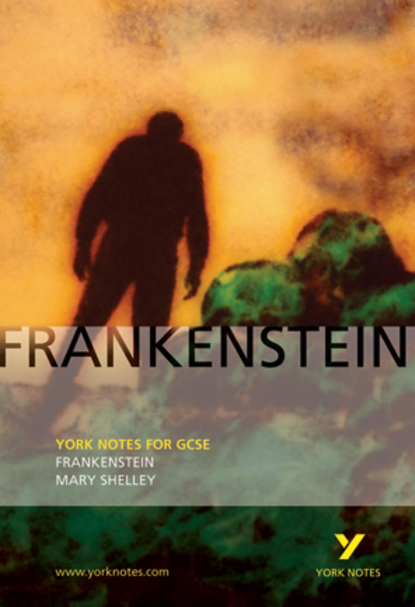 Frankenstein: York Notes GCSE - for 2026, 2027 exams Contemporary literature