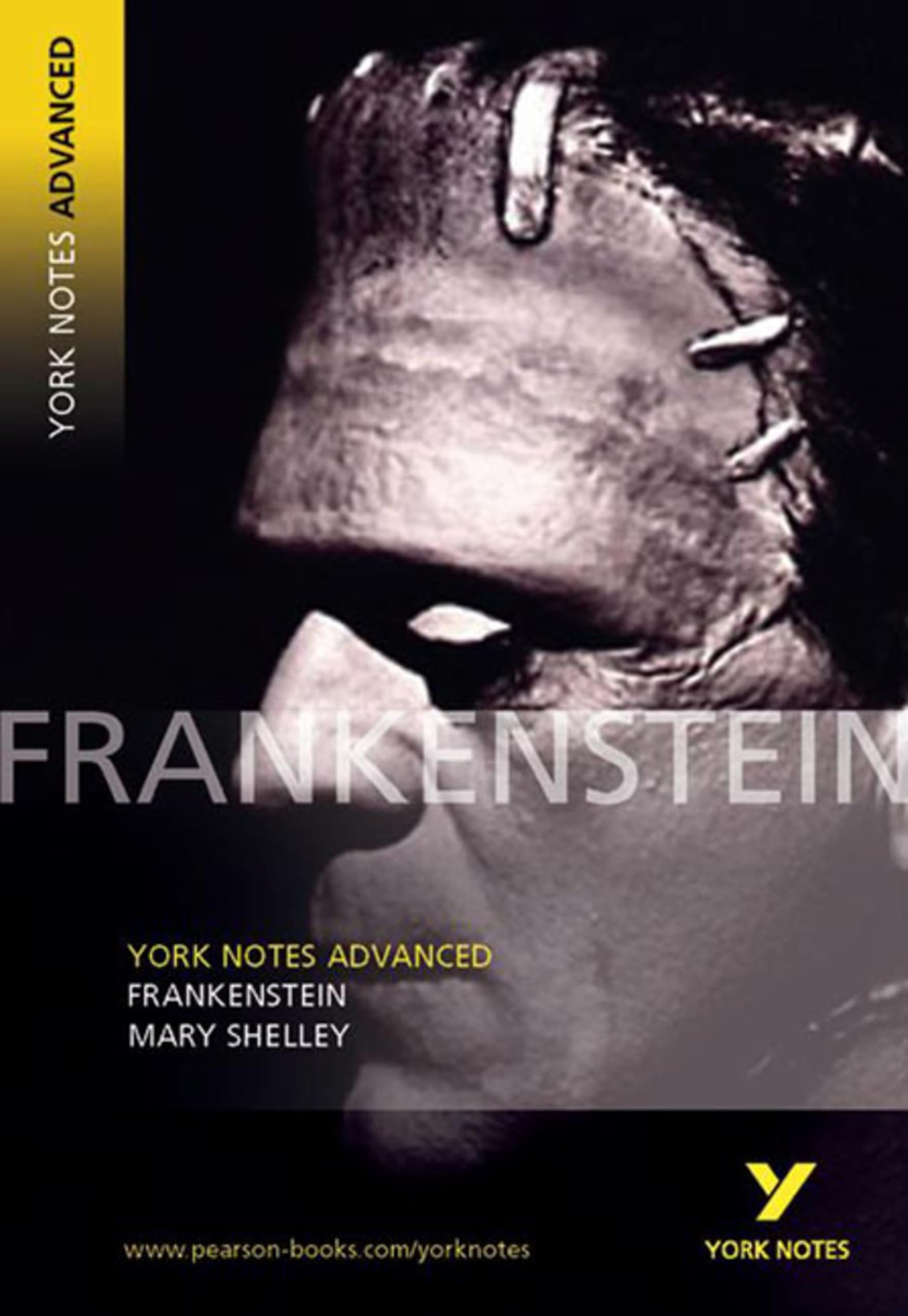 Mary Shelley 'Frankenstein': York Notes Series (York Notes Advanced) Contemporary literature