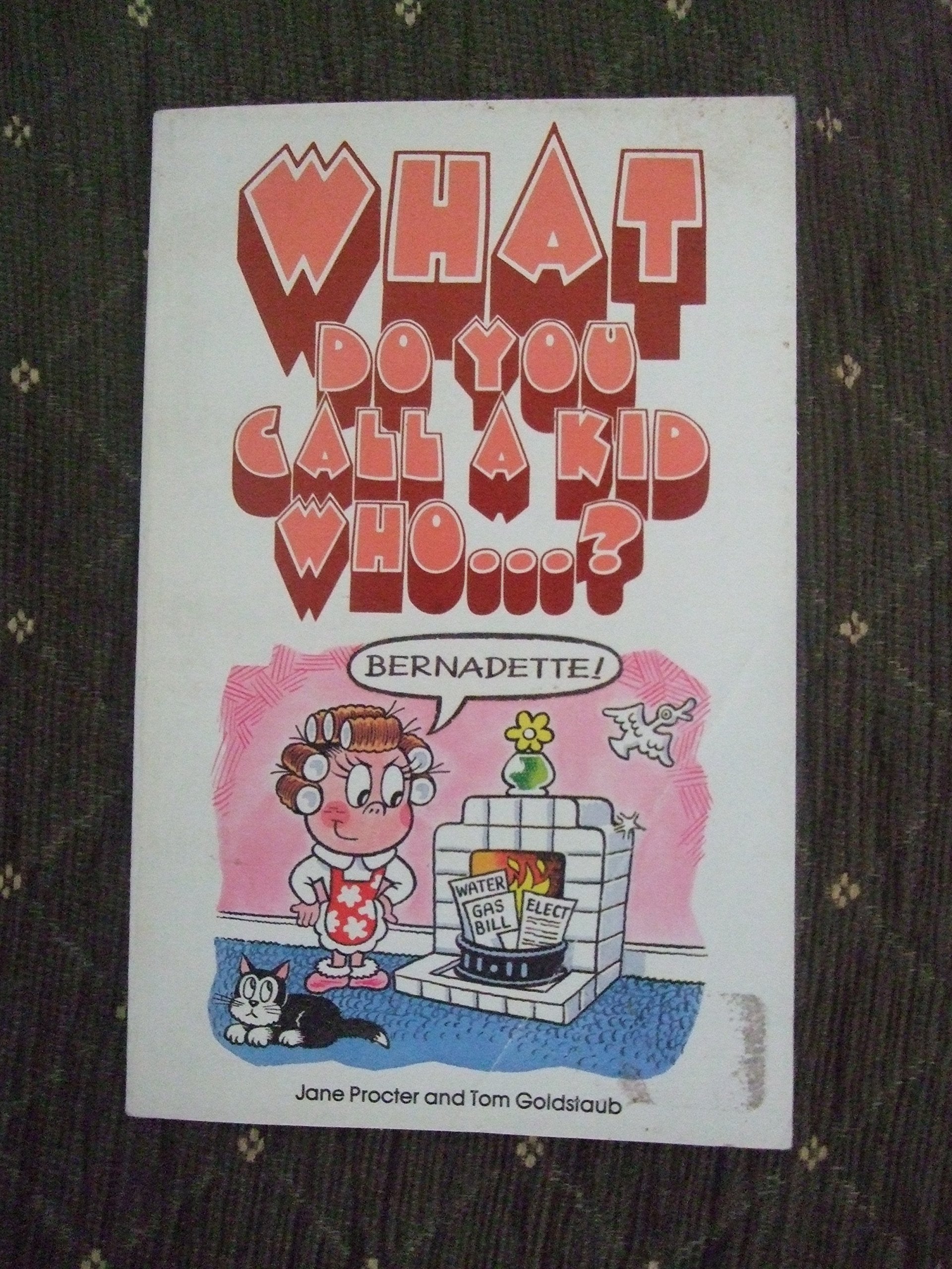 What Do You Call a Kid Who? (The Dragon Books) Tiptoi & Games