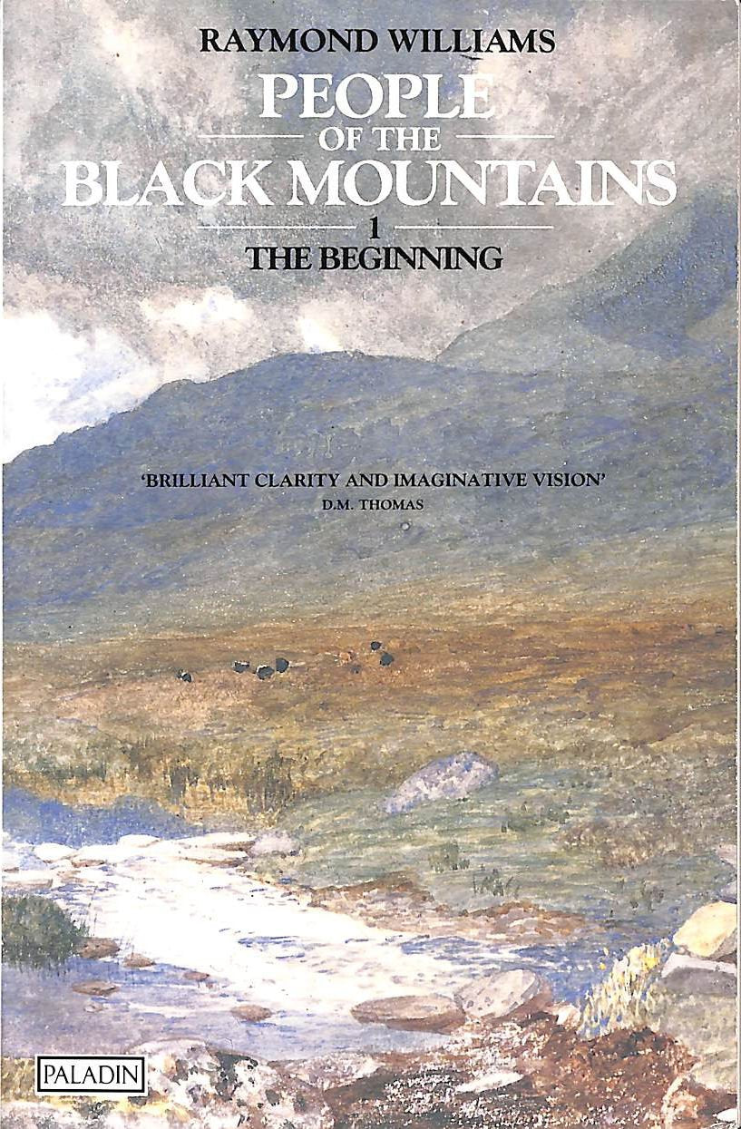 The Beginning (v. 1) (People of the Black Mountains) Contemporary literature