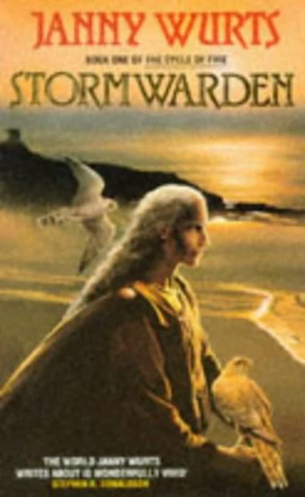 Stormwarden: Book 1 of the Cycle of Fire Contemporary literature
