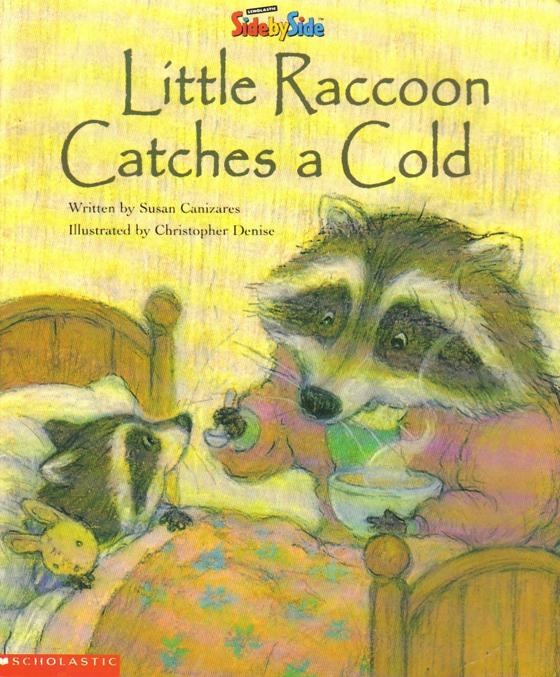 Little Raccoon Catches a Cold (Sidebyside) Books