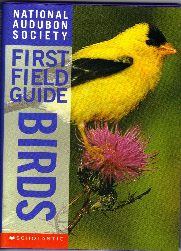 Birds (National Adubon Society First Field Guides) Non-fiction