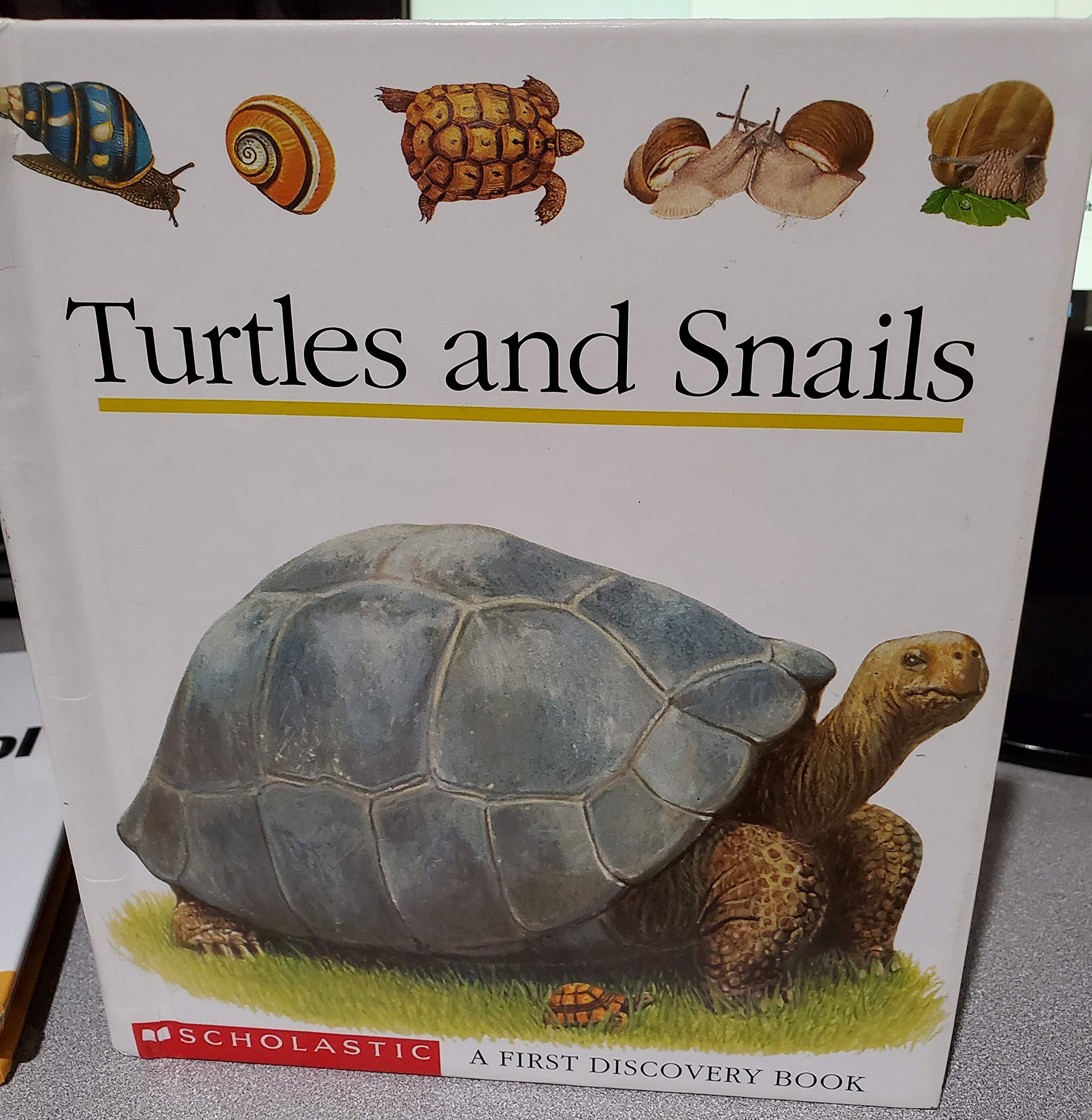 Turtles and Snails (First Discovery Books) Novels & Short Stories