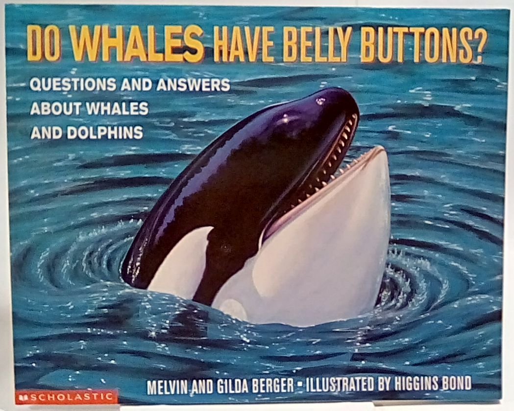 Do Whales Have Belly Buttons: Questions and Answers About Whales and Dolphins (Berger, Melvin. Scholastic Question and Answer Series.) Books