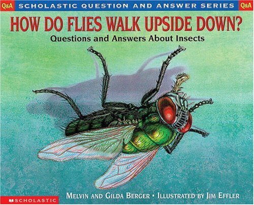 How Do Flies Walk Upside Down: Questions and Answers About Insects Books