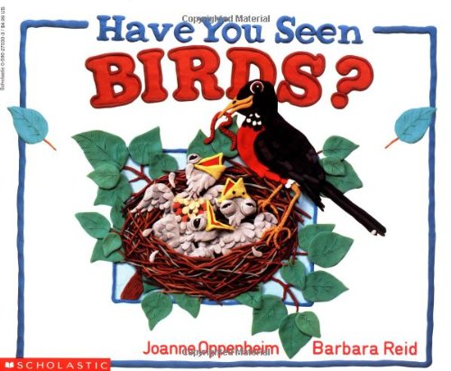 Have You Seen Birds? book