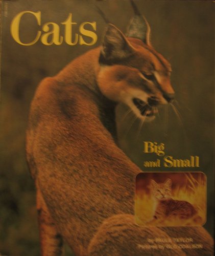 Product Image: Cats Big and Small