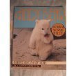Andy Bear: A Polar Cub Grows Up at the Zoo Books