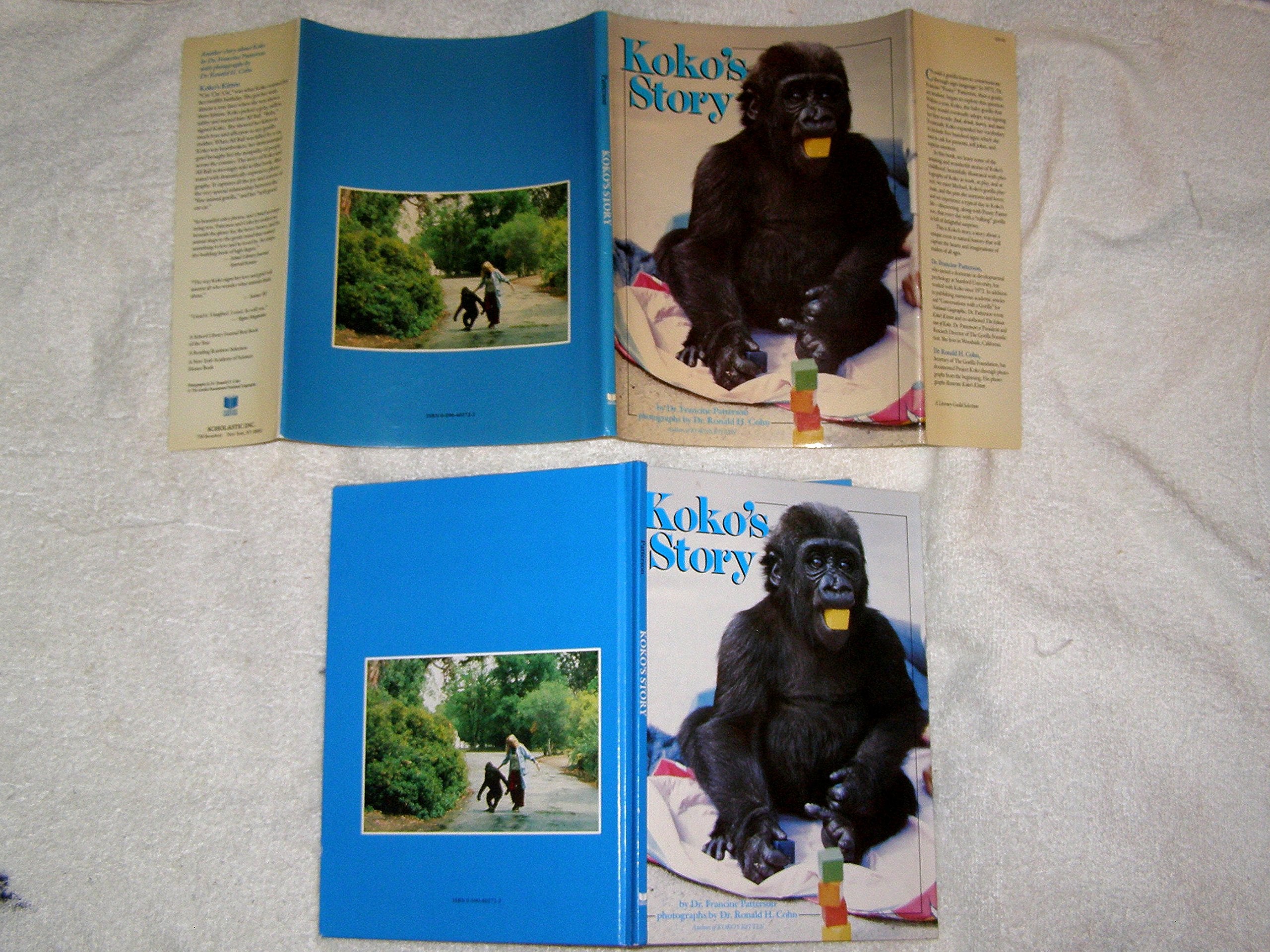 Product Image: Koko's Story