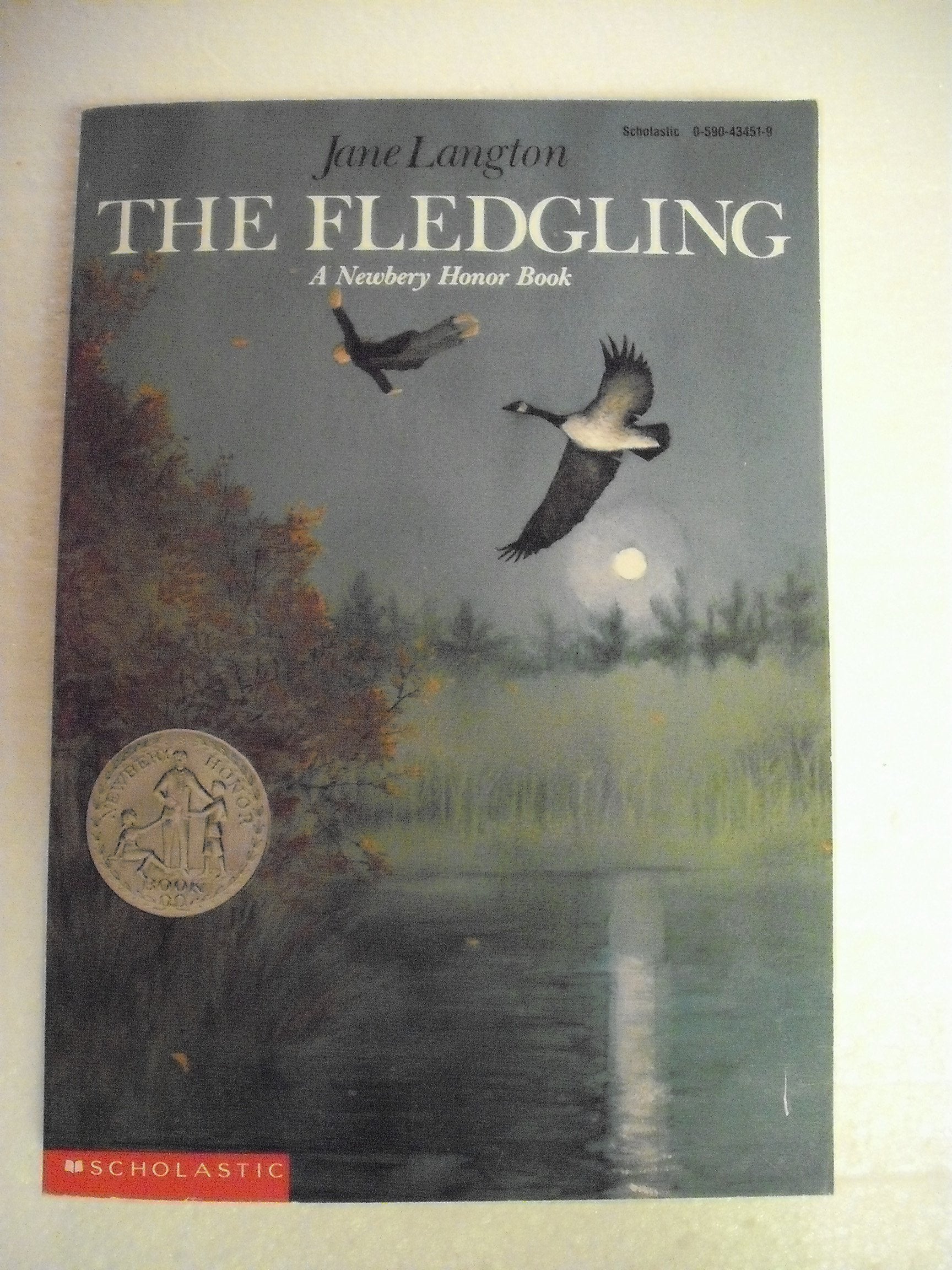 The fledgling Books