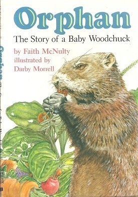 Orphan: The Story of a Baby Woodchuck Books
