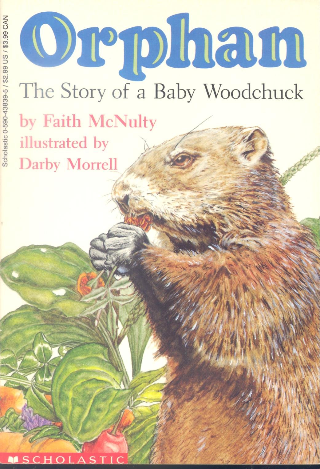 Orphan The Story of A Baby Woodchuck Books