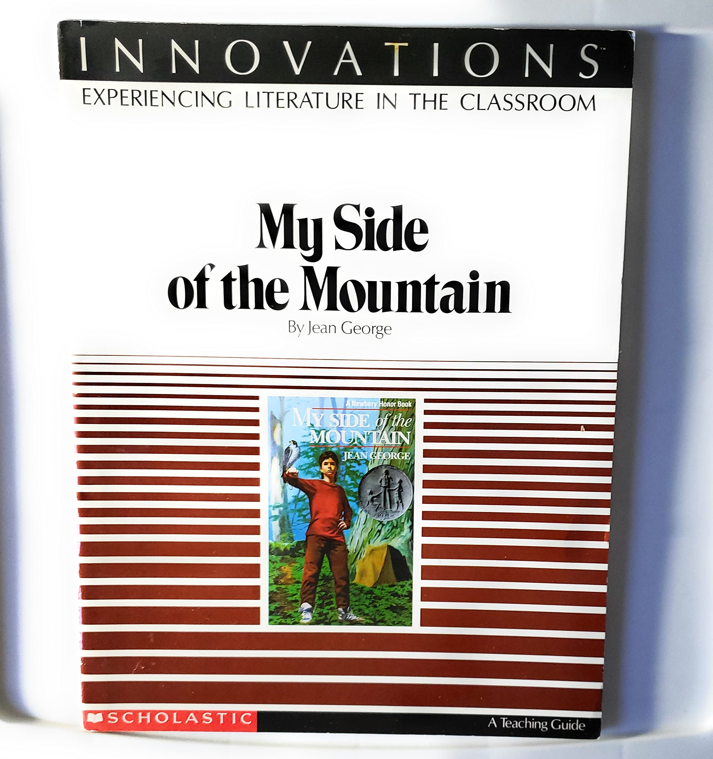 My Side Of The Mountain Experiencing Literature in Books