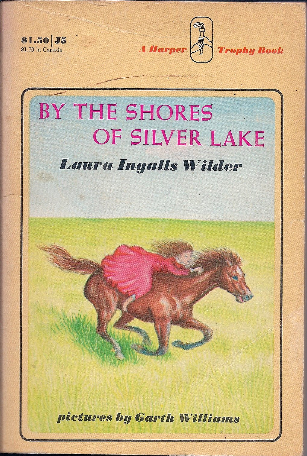 By the Shores of Silver Lake Books