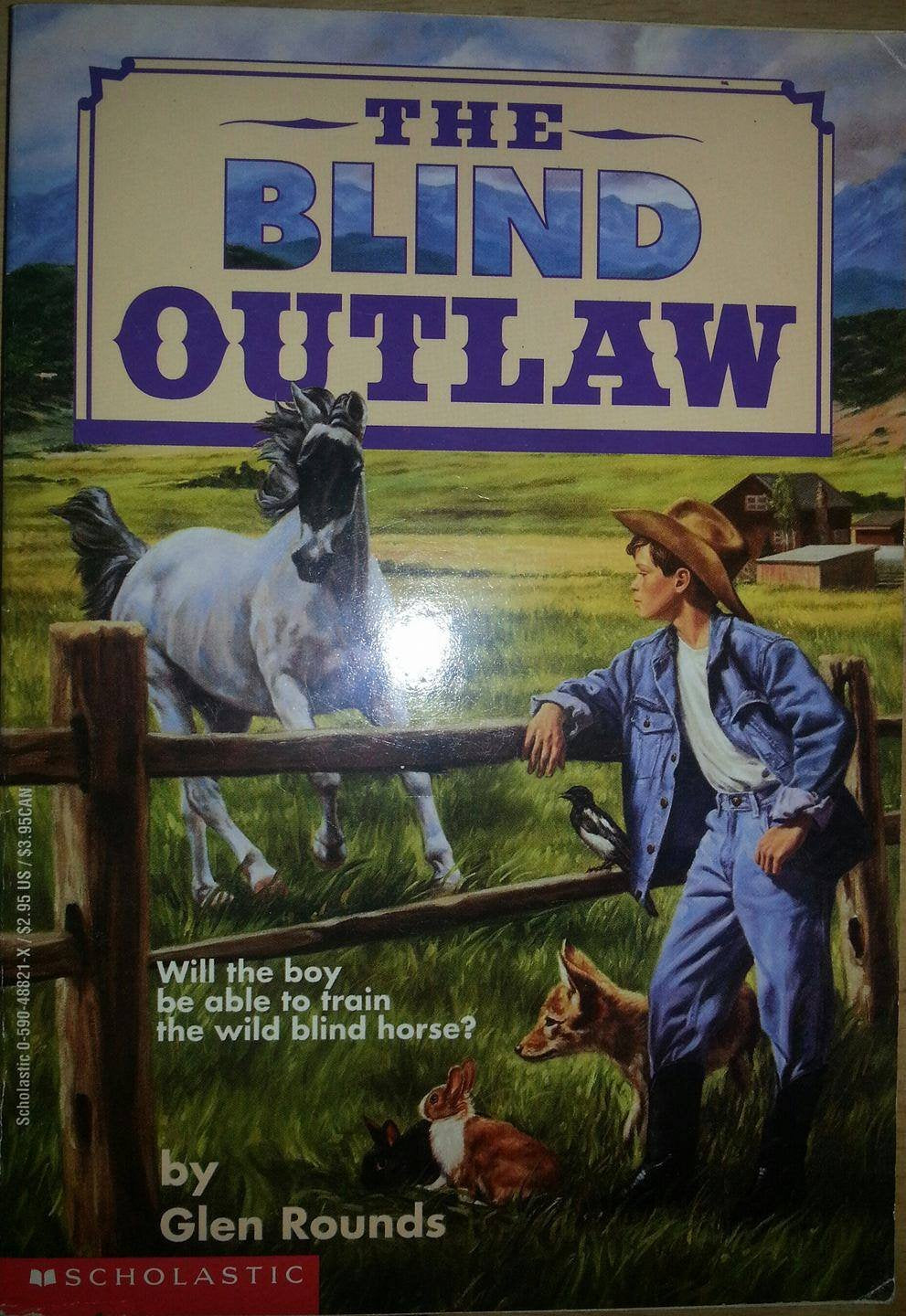 Blind Outlaw by Glen Rounds (1980-06-03) Books