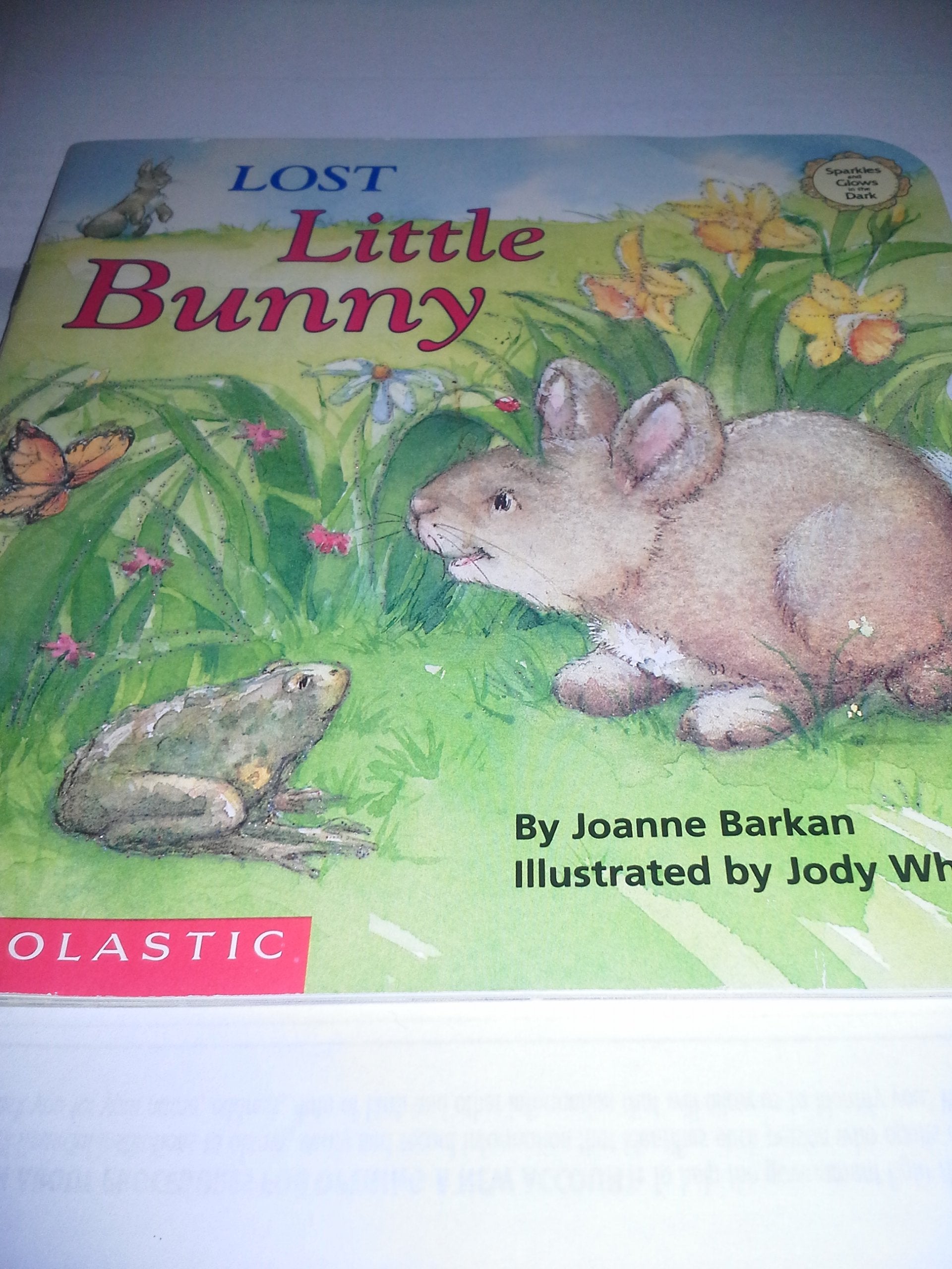 Lost Little Bunny (Sparkle-And-Glow Books) Books