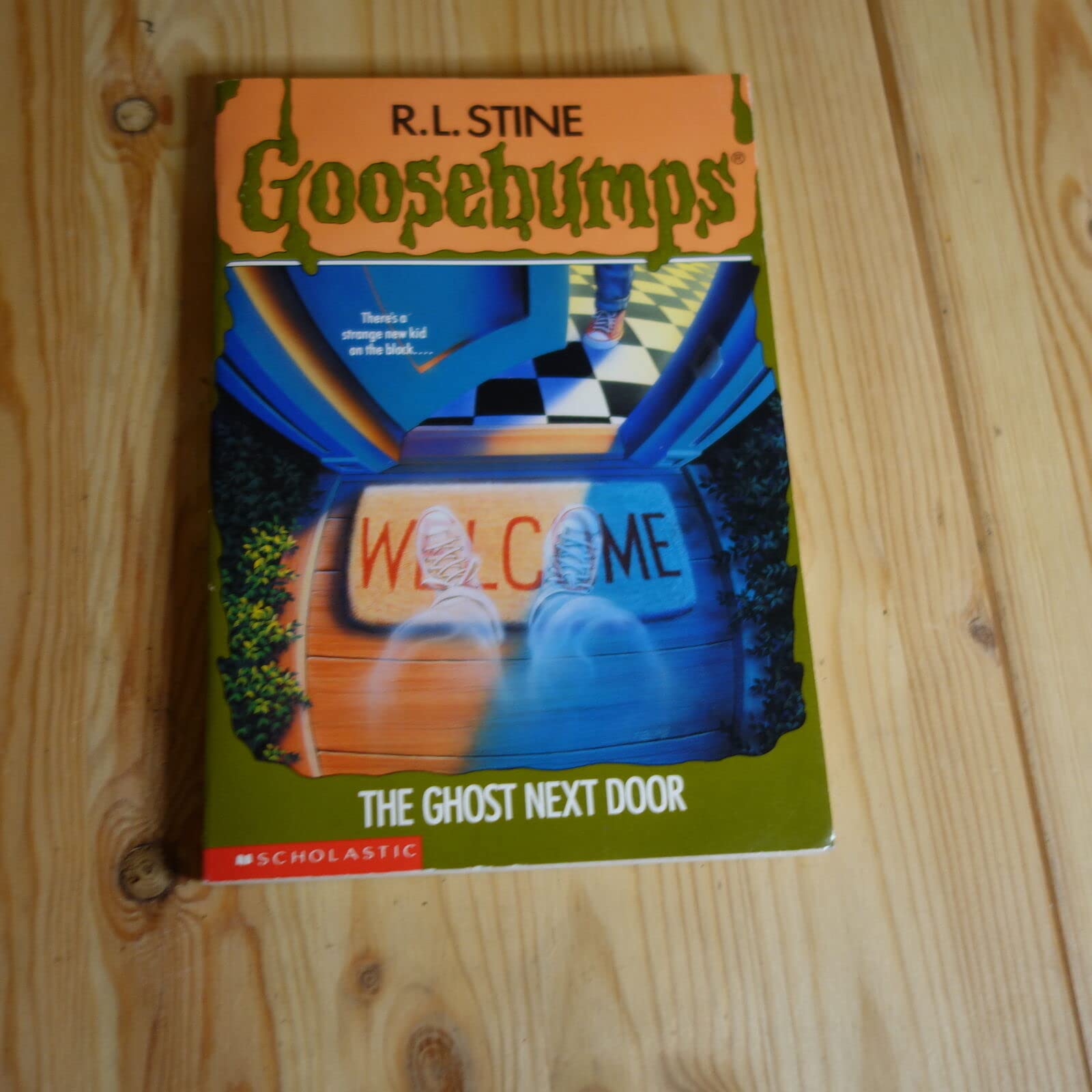 The Ghost Next Door (Goosebumps, Band 10) Books