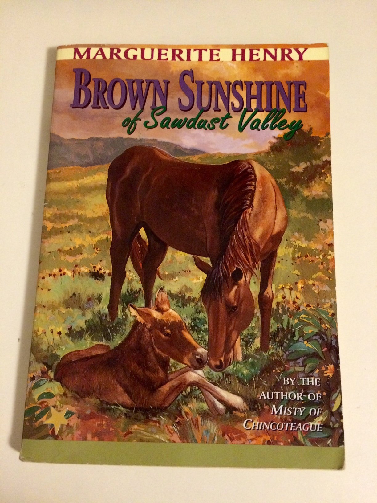 Brown Sunshine of Sawdust Valley by Marguerite Henry Books